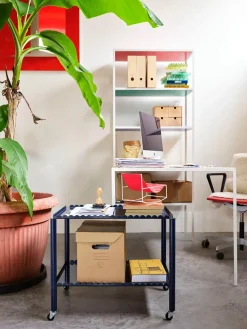 Arcs Trolley, low fra Hay