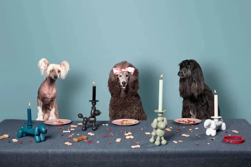 Can-Dog lysestage fra Fatboy