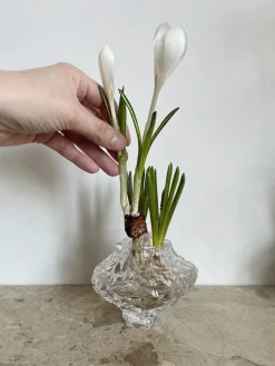 Canyon Vase Mini, clear fra Hein Studio