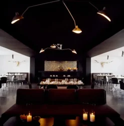 Ceiling Lamp w/3 Rotating Arms af Serge Mouille