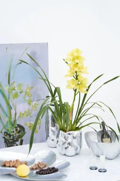 Cloud Vessel fra Tom Dixon