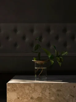 Cresco Propagation Vases, sæt á 2 stk. fra Audo Copenhagen