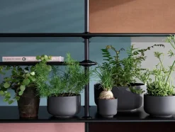 Montana Free Reol 542000