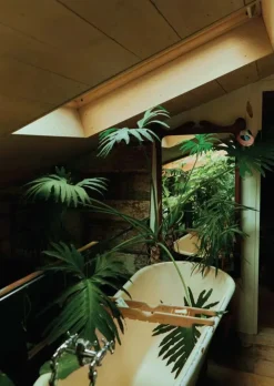 The Kinfolk Garden fra New Mags