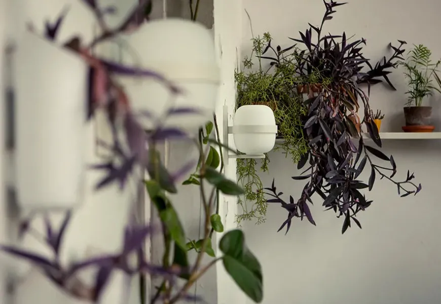 Wally Cestita Væglampe fra Santa and Cole